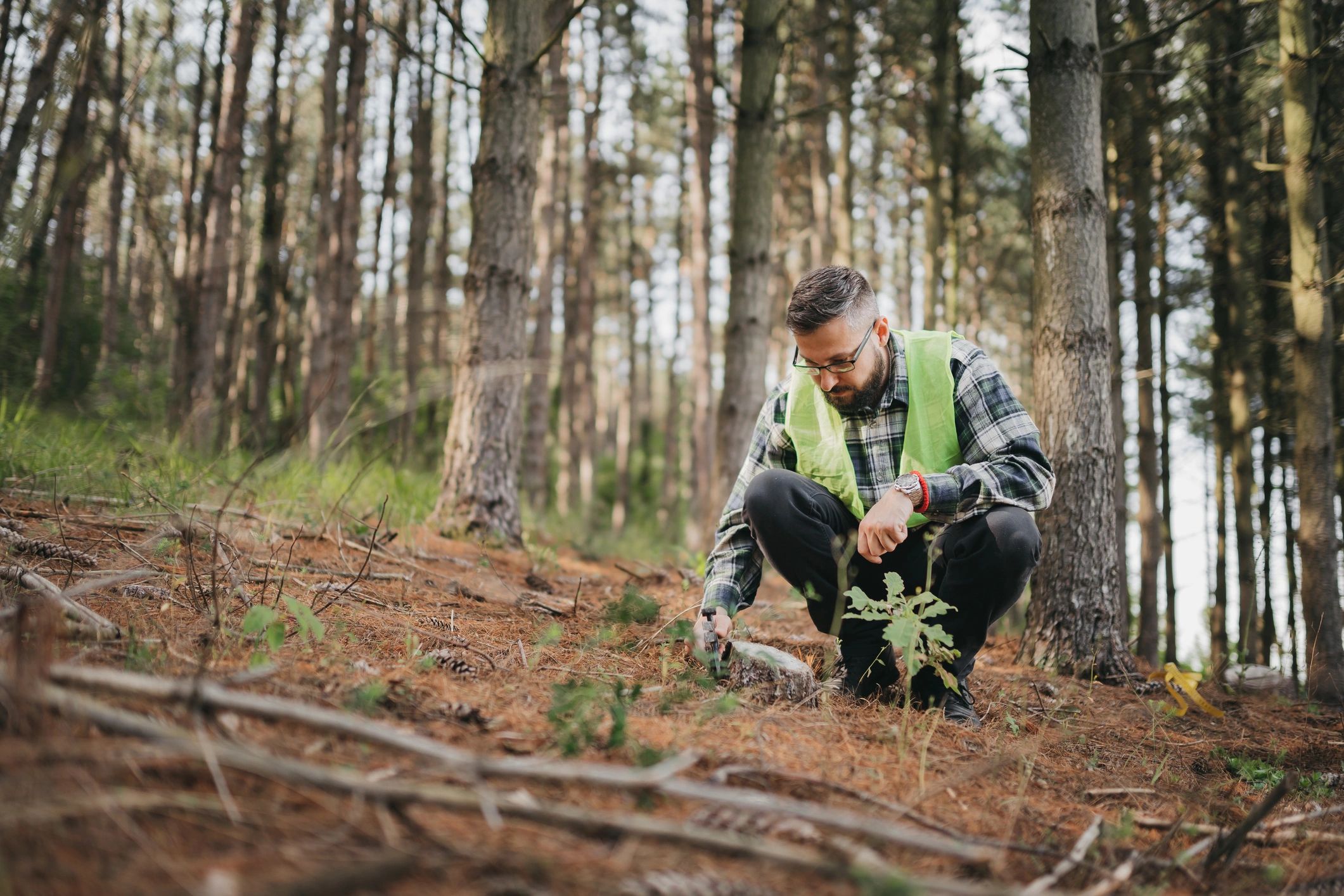 Ecologist conducting fieldwork outdoors