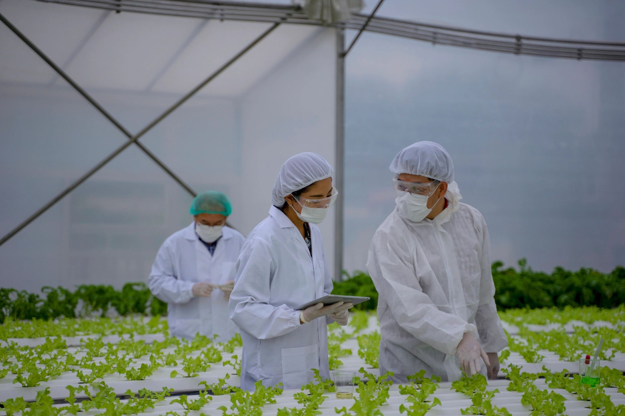 Scientist working in a research setting