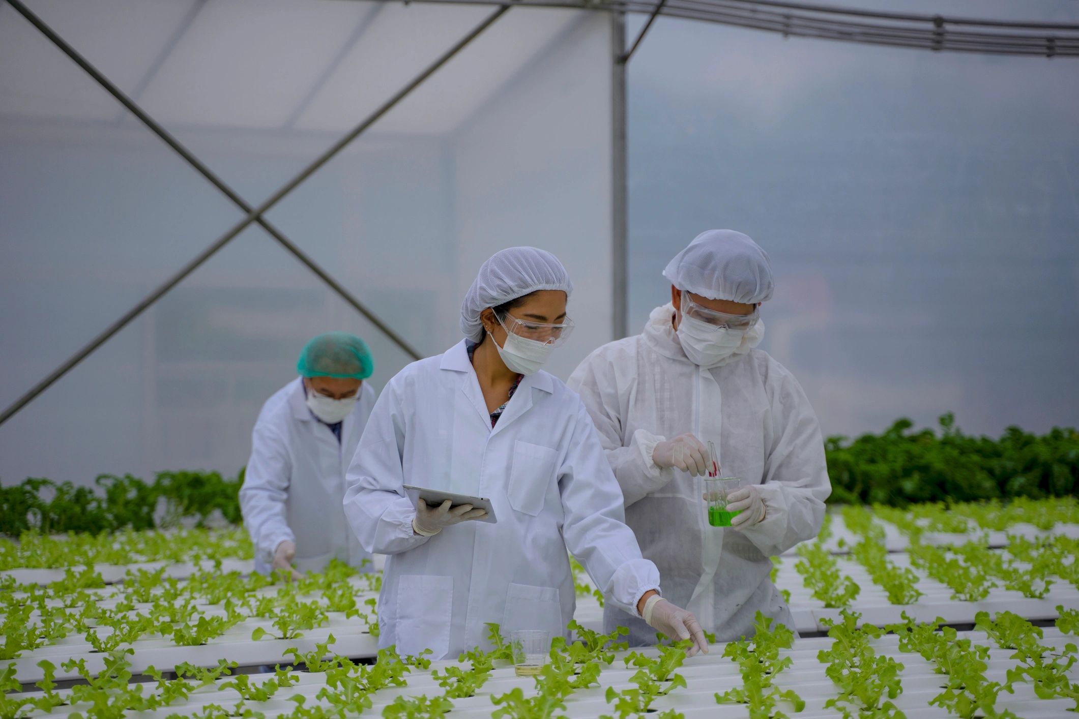 Academic research setting representing student mentorship and collaboration