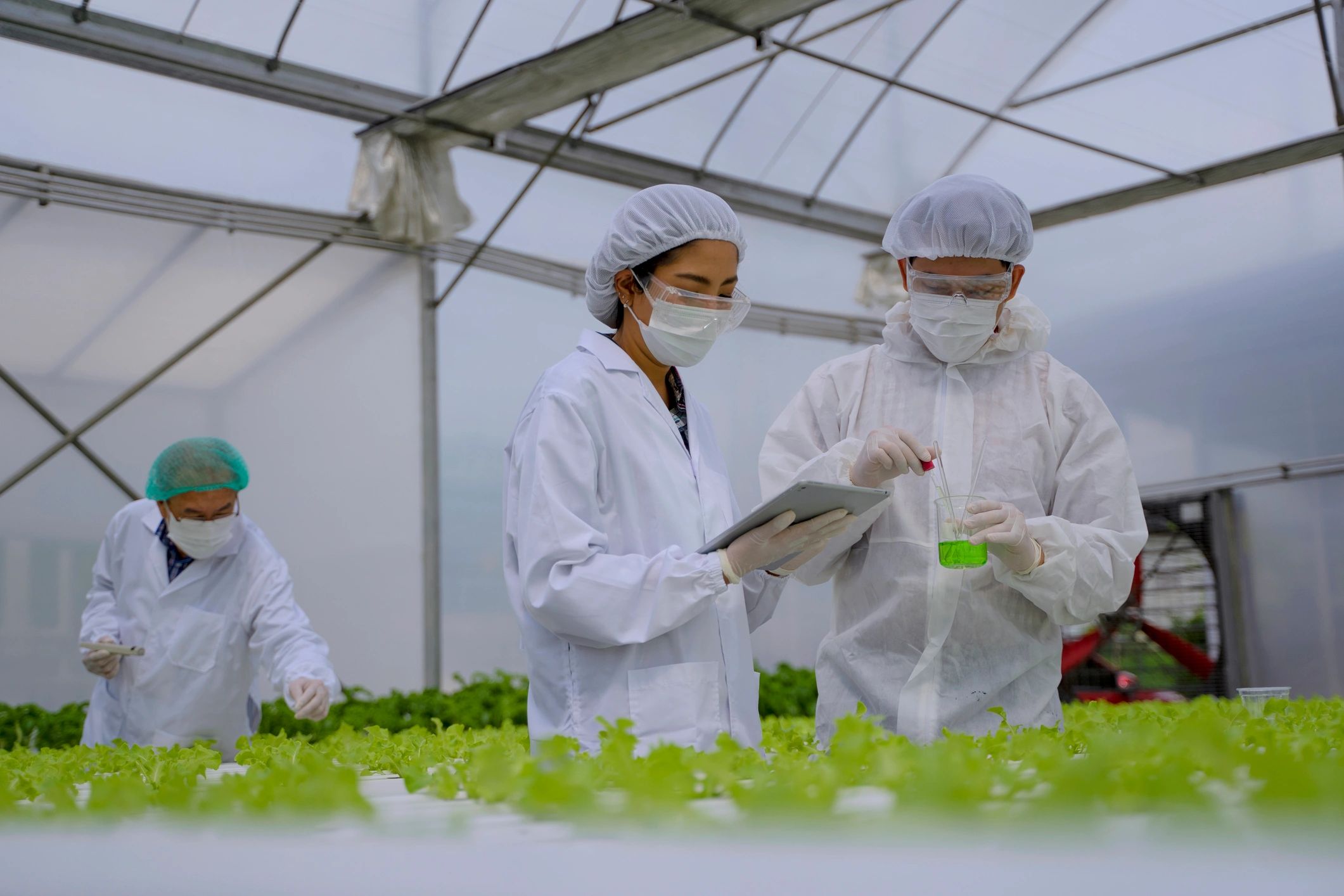 Research environment representing publications and scientific work