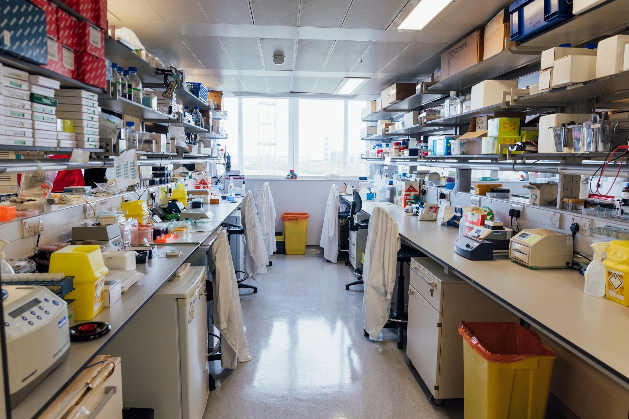 Academic laboratory interior supporting collaborative research