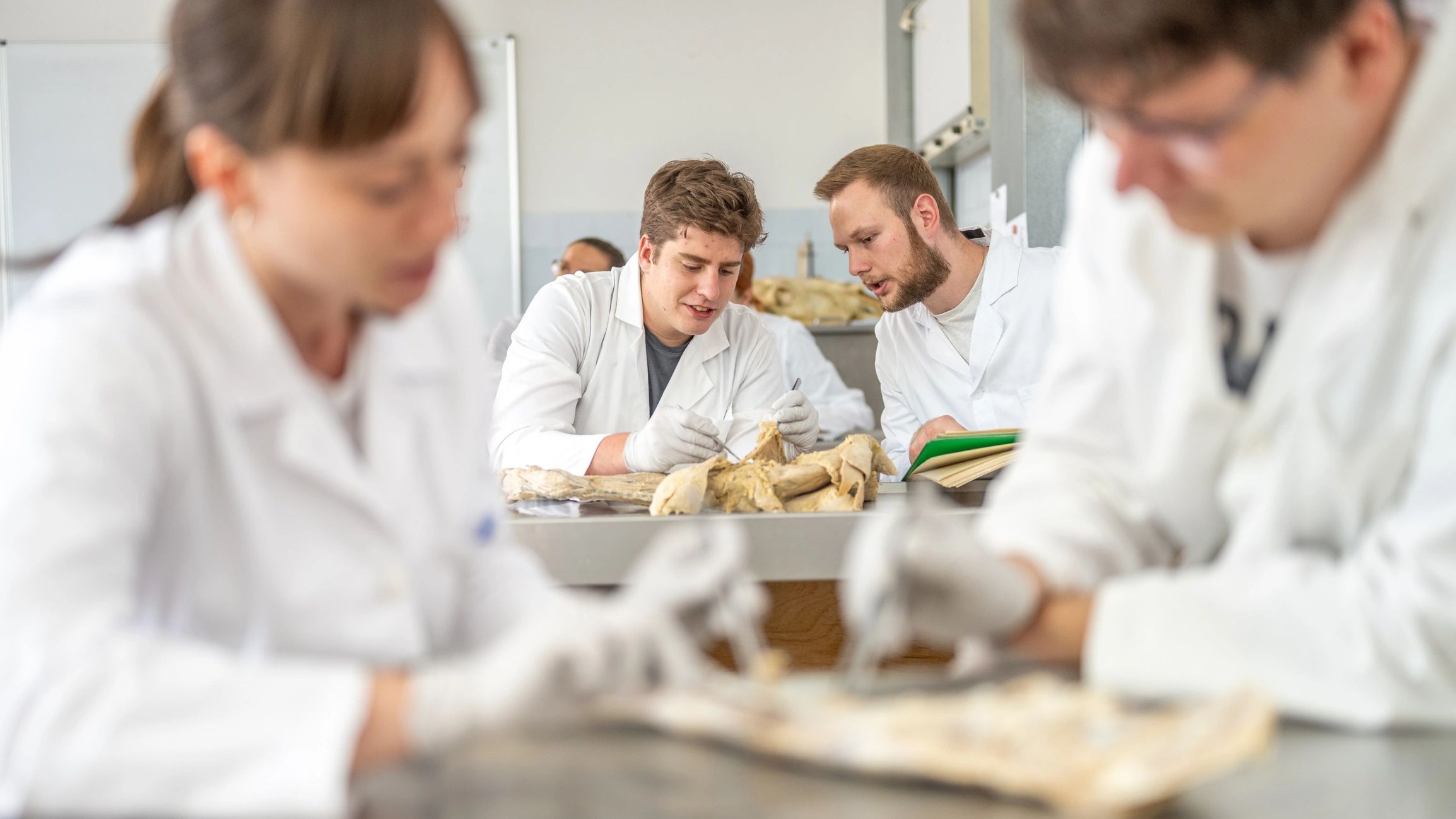 Academic collaborators examining biological specimens in a university setting
