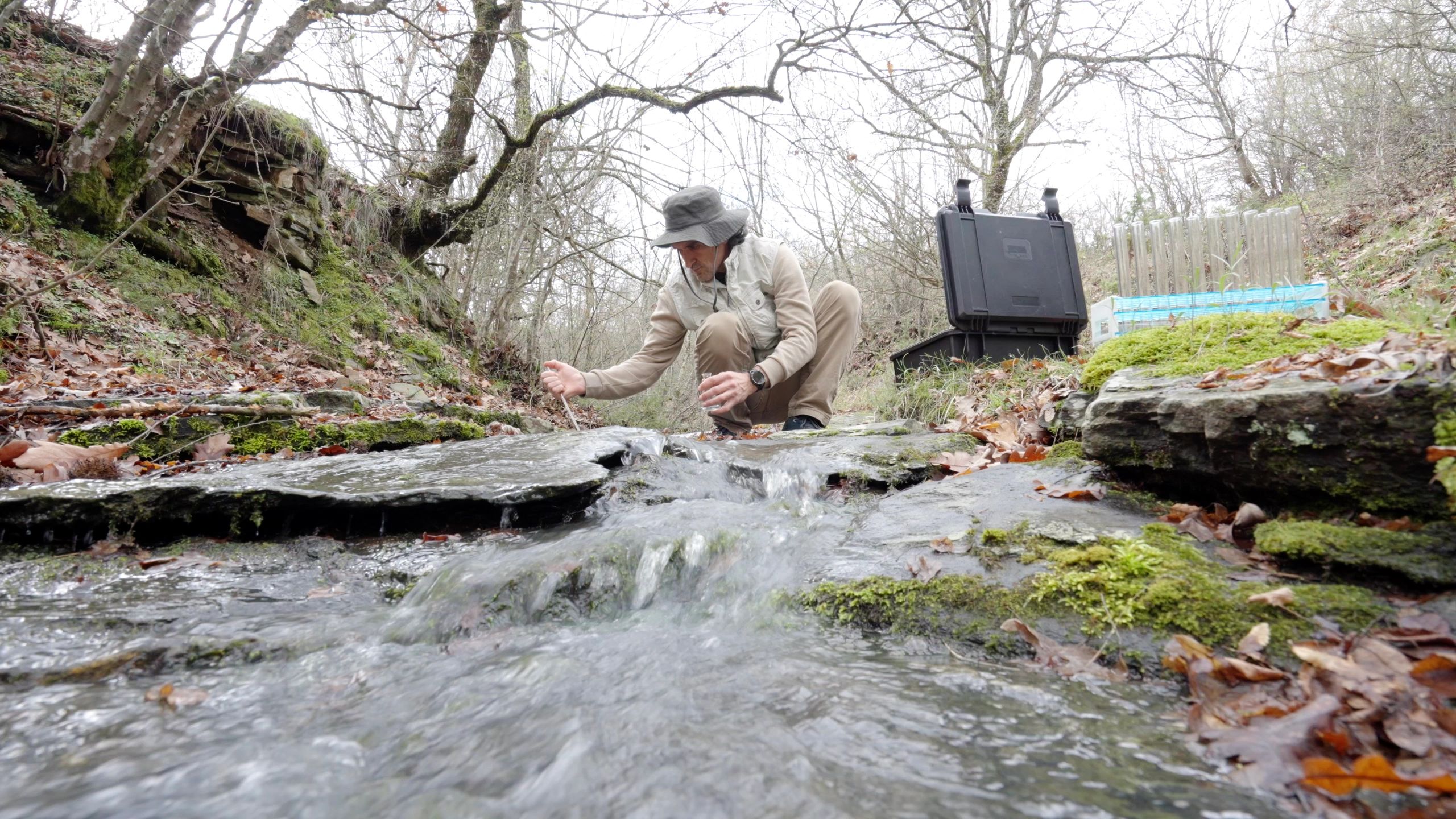 Researcher monitoring freshwater biodiversity in the field