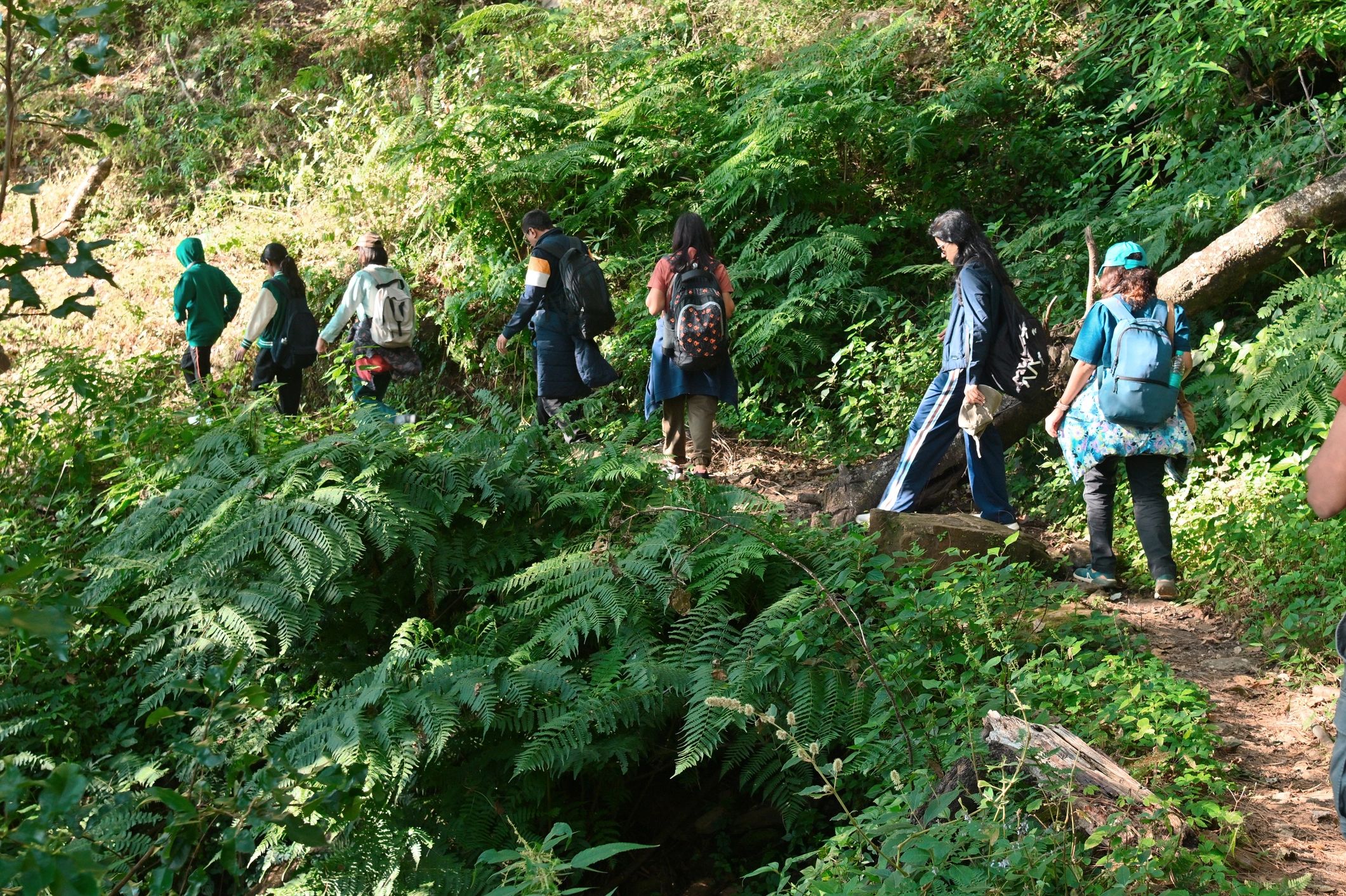 Researchers walking through a dense forest during a biodiversity field survey