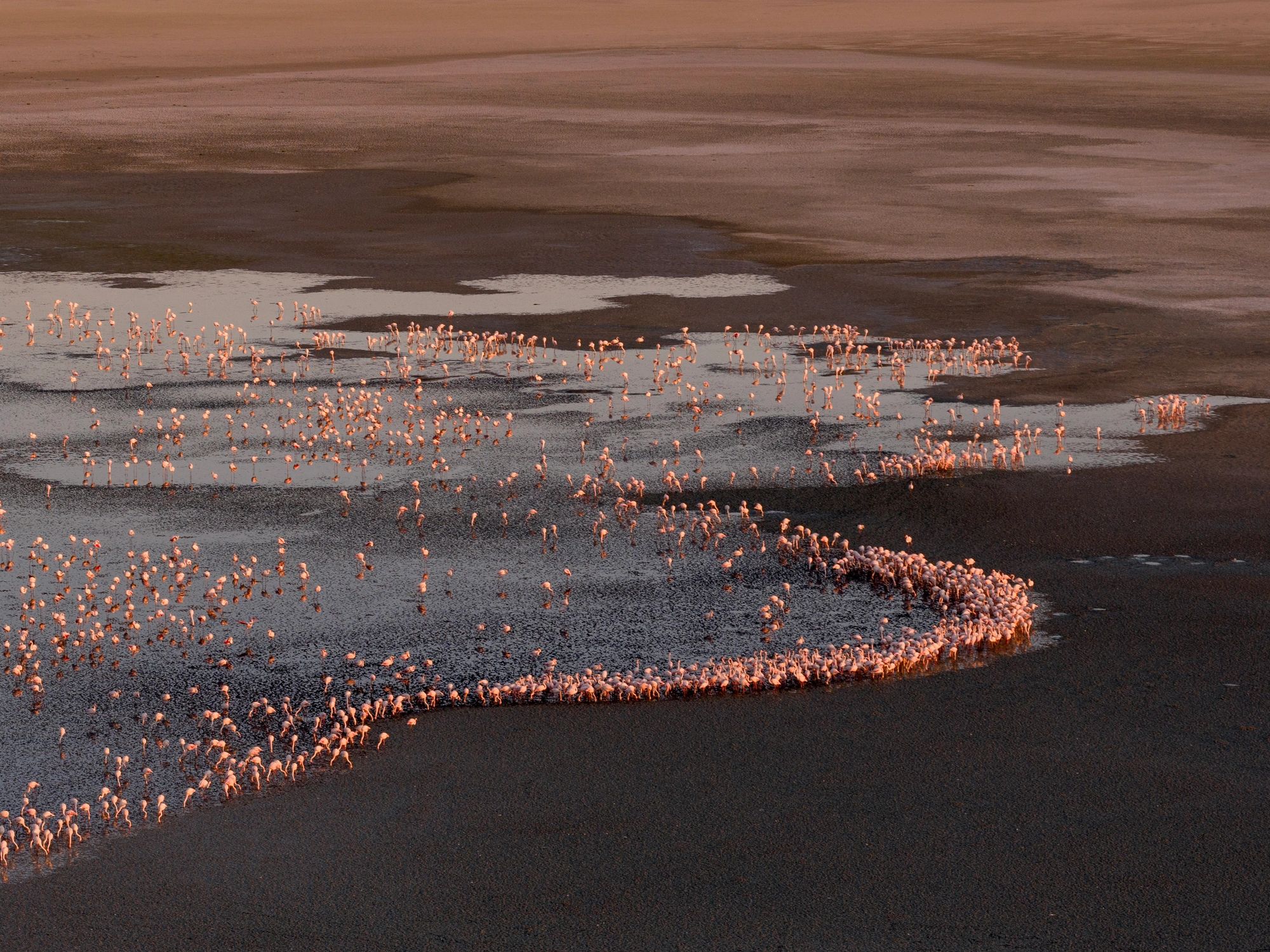 Wetland landscape representing habitat and conservation study areas