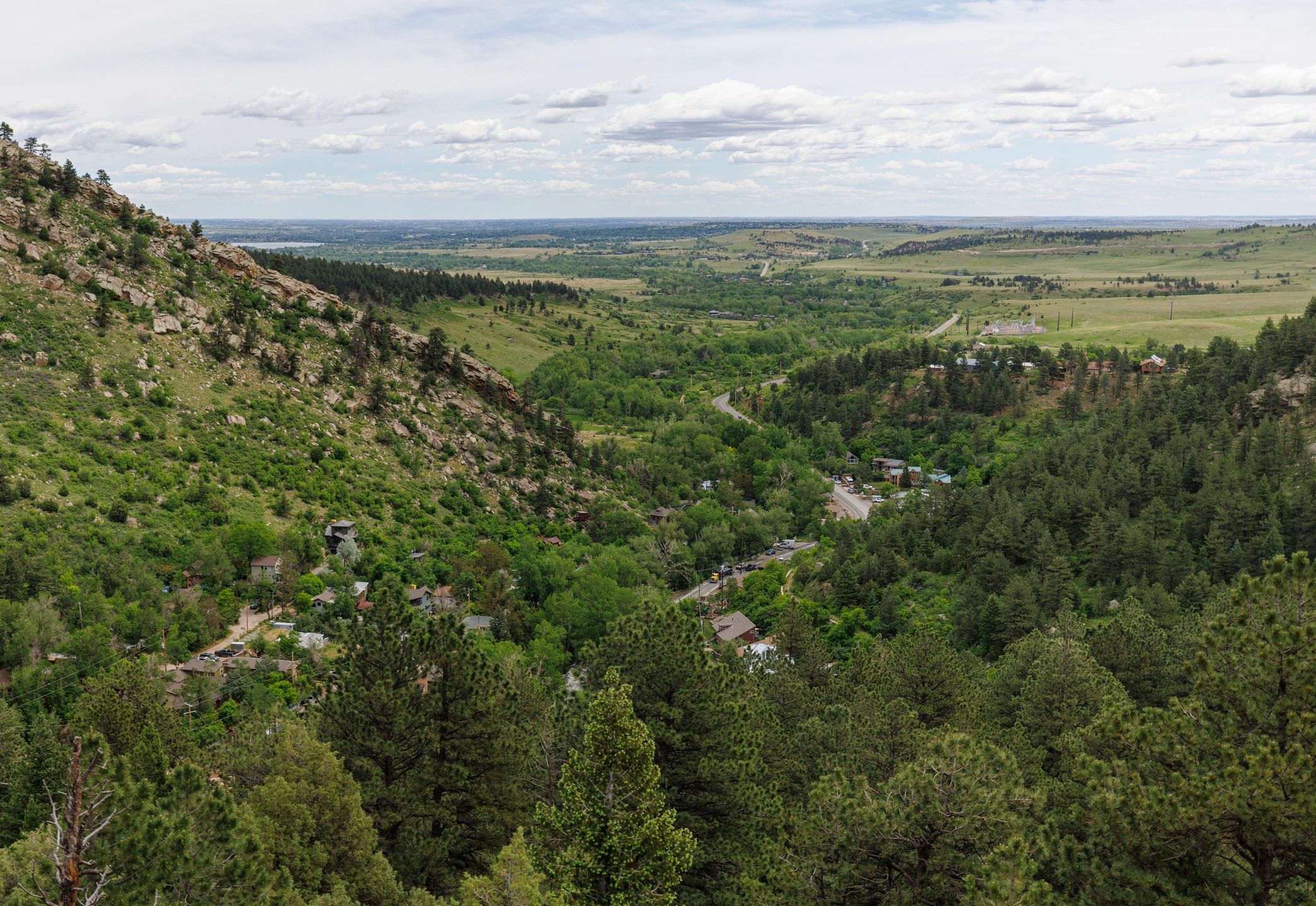 Forested landscape representing biodiversity research field context