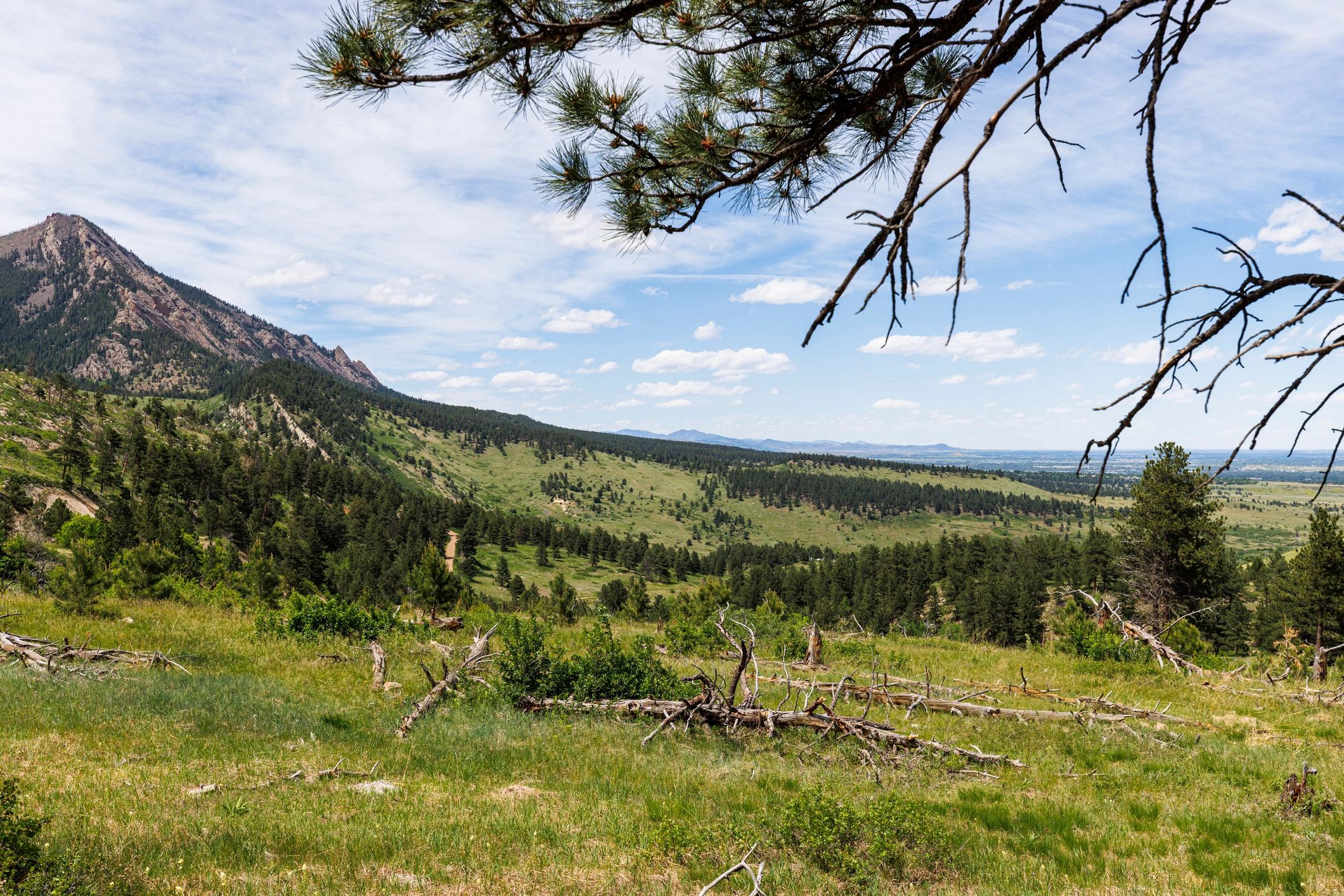 Forest landscape related to ecological fieldwork