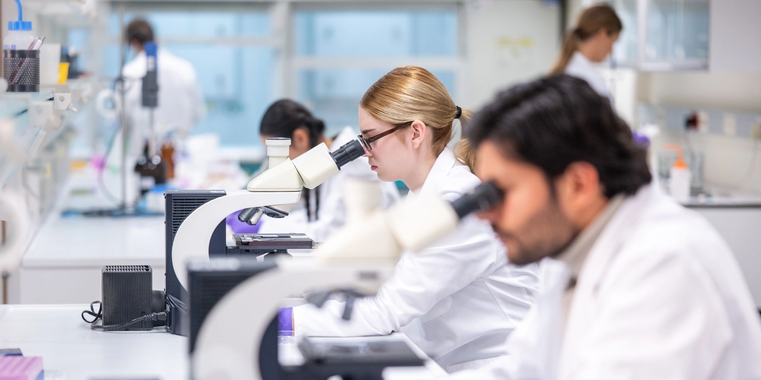 Scientists working with microscopes in a laboratory